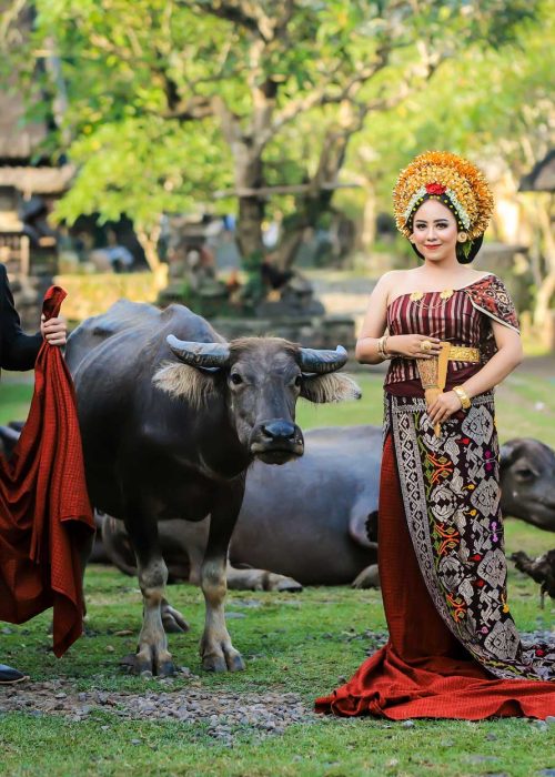 Undangan-website-Gede---Bintang-19